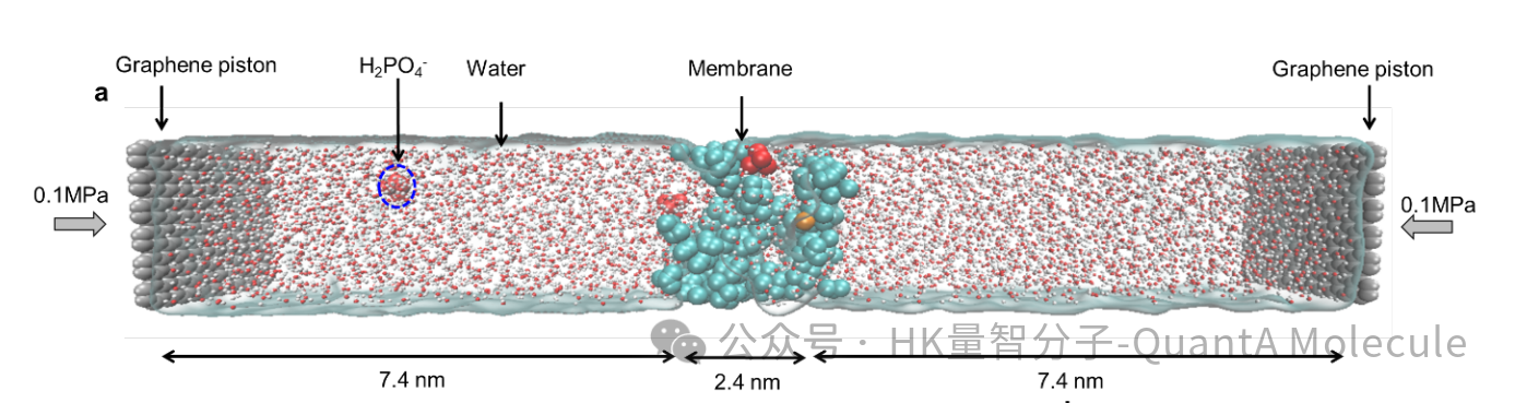 分子动力学模拟（电场）